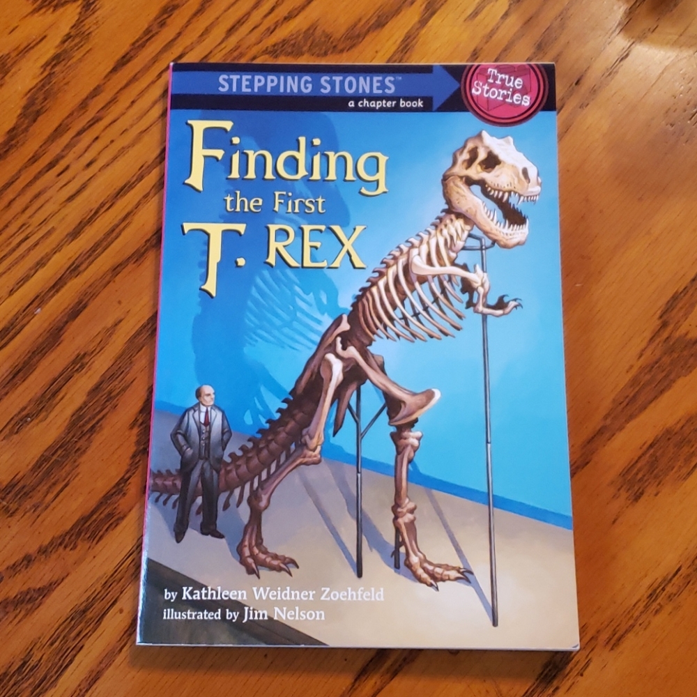 Stepping Stones Chapter book